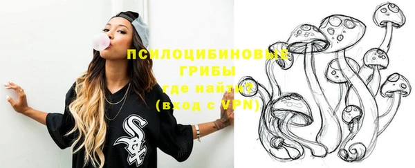 спиды Алексеевка