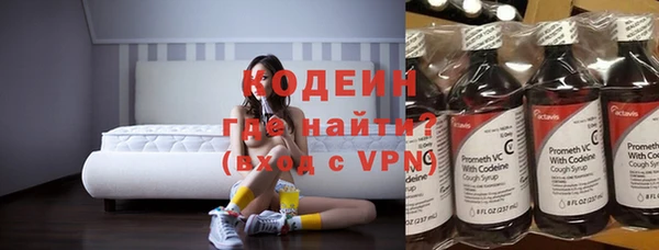индика Фурманов