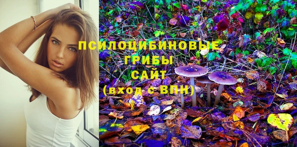 спиды Алексеевка