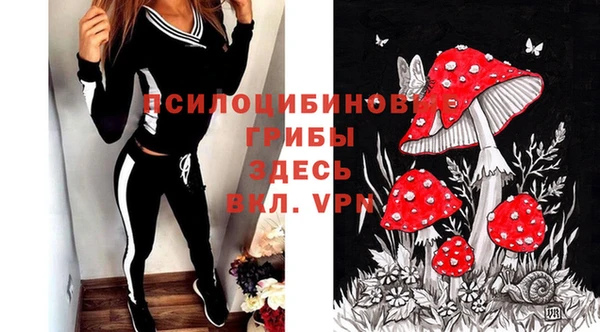 стаф Алексин