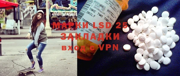 стаф Алексин