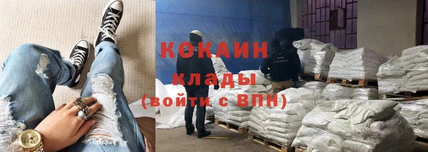 стаф Алексин