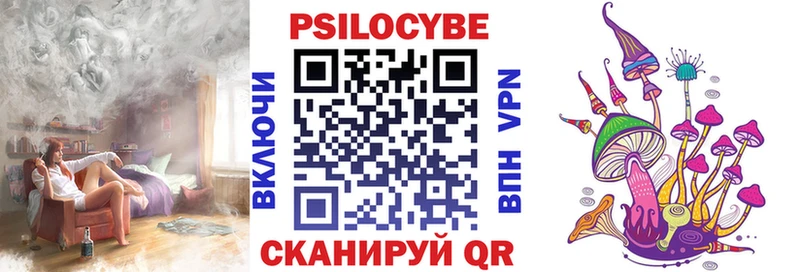 KRAKEN вход  Биробиджан  Галлюциногенные грибы мицелий 