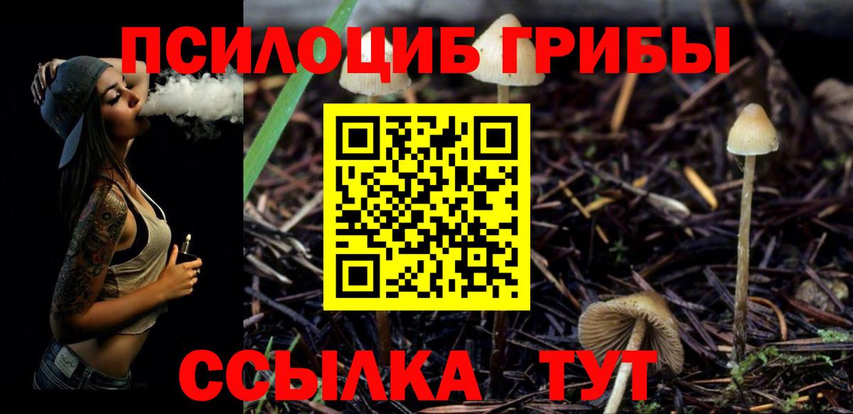 Галлюциногенные грибы GOLDEN TEACHER Биробиджан
